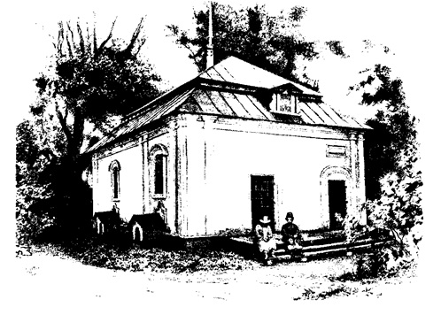 каменица полуботка