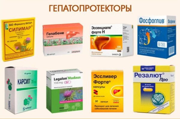 Заболевания печени: методы лечения и роль гепатопротекторов